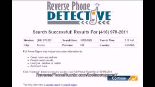 Detecting Phone Detective Service Phone Number Owner