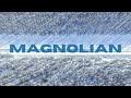           winter roads w magnolian 