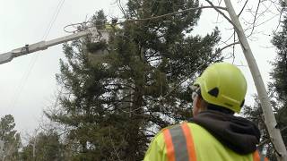 CORE Protect: Wildfire Mitigation