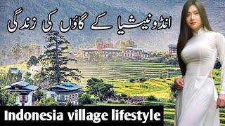 indonesian village life documentary Urdu and Hindi