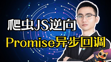 【爬虫实战】一条视频教会你加密定位处理方法之Promise异步回调 | JS逆向必学实战之一！这还学不会那就别学了！