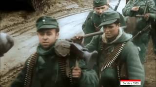 Хроника тяжелых боев апрель май 1945 Хроника тяжелых боев апрель май 1945