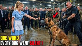 Waitress Walked Into a Retired SEAL K9 Auction Alone — The Dogs Froze When She Spoke