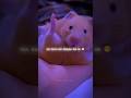 Golu Molu 🥔🐭|| Cute Mouse 🐁|| Tranding ❤️‍🔥 || #shorts #lyrics #edit