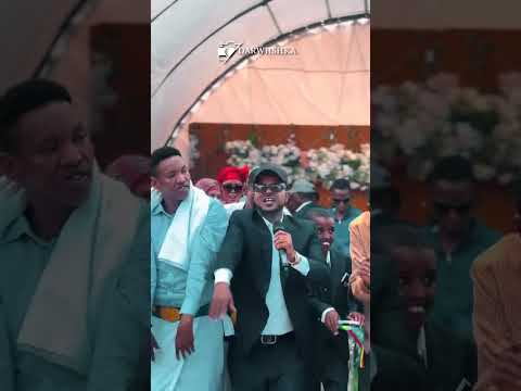 Axmed Budul Dhaanto Cusub