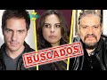 ¡ Famosos MÁS BUSCADOS por los NARCOS ! ¿Porqué querían CONOCERLOS?