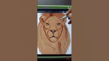 Realistic Lion Drawing in Procreate | Digital Art Time-Lapse PART 2