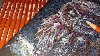 Owl Pencil Drawing ASMR in real time | No talking | No Music | Pencil and Fire sounds