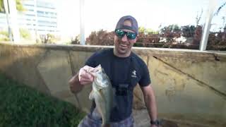 Bass Fishing In the CITY with Westin Smith and a Beginner Angler! Bass Fishing Tips f
