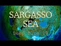 Deep blue 19   sargasso sea