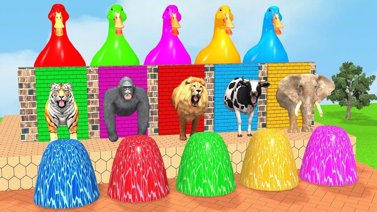 Episode 1 Long Slide Game With Cow ElephantGorilla HippopotamusTiger 3d Animal Game Funny 3d Animals
