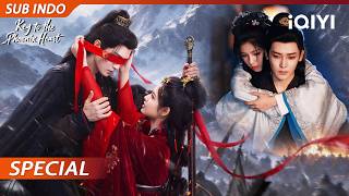 【SPECIAL 04】😽Sudah takdir kita untuk bersama...💓 | iQIYI Indonesia screenshot 2