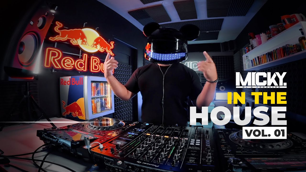 DJ MICKY IN THE HOUSE VOL  01