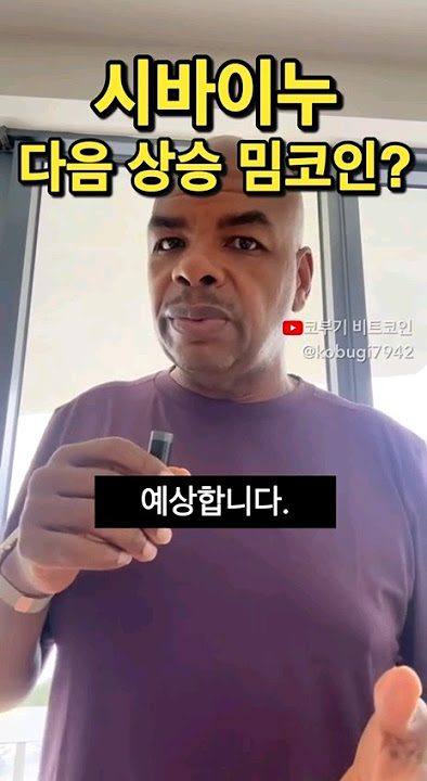 시바이누 다음 상승 밈 코인?
