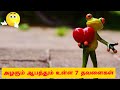 அழகும் ஆபத்தும் உள்ள 7 தவளைகள்
