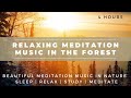 Relaxing Meditation Music in the Forest | Sleep | Relax | Study | Meditate