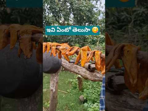 ఎలా నిల్వ చేసుకోవాలి#ytshorts #village #villagerlifestyle #mengão #villagevlog