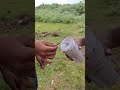 1/2 kg cracker 😱🤯🫨💥 | #diwali #crackers #comedy #funny #youtube #youtubeshorts