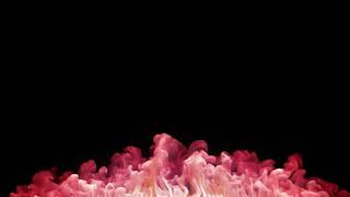 FumeFx Smoke Test