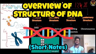 Overview Of 4 Structures Of Dna Short Notes Tamil Molecular Biology Think Biology