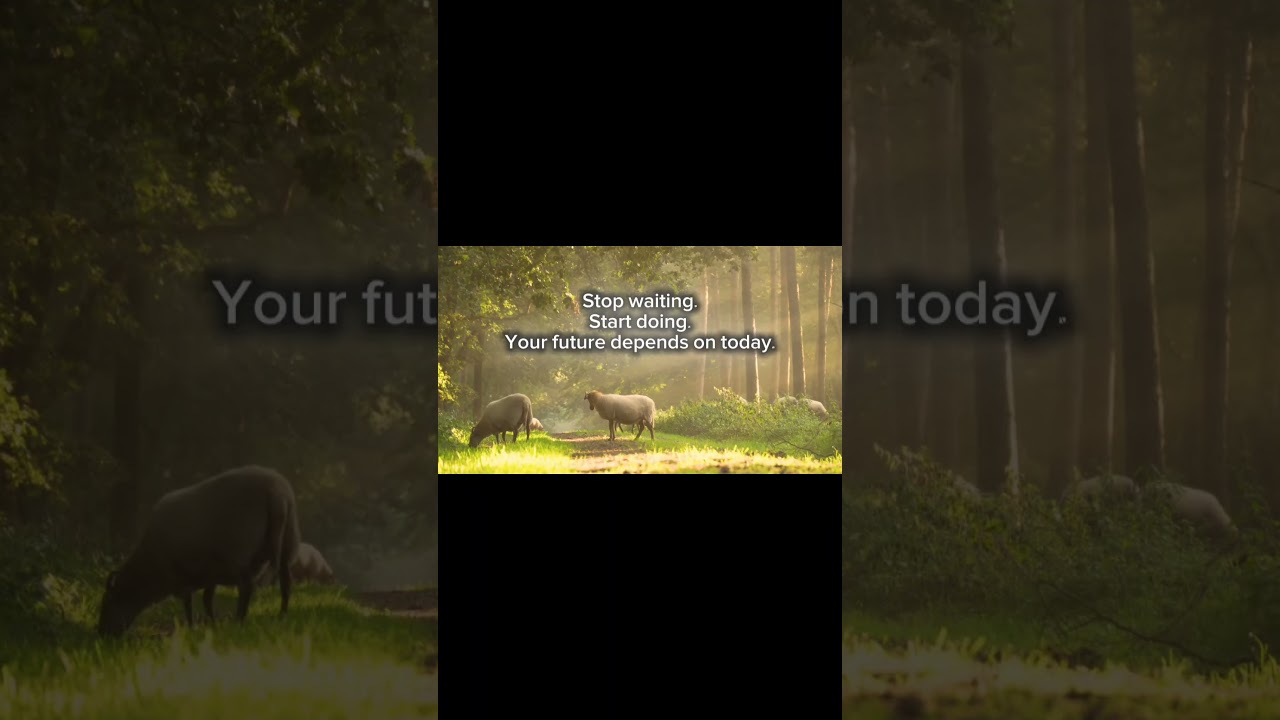 Stop waiting. Start doing. 