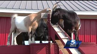 Orr Family Farm set to reopen after tornado