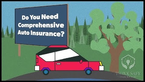 What Is Comprehensive Coverage? Auto Insurance Guide for Florida Drivers | Get a Quote!