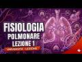 FISIOLOGIA POLMONARE: LEZIONE 1 - MECCANICA DELLA VENTILAZIONE POLMONARE #animation