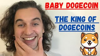 Babydoge To 010   Baby Doge Coin Crypto Analysis