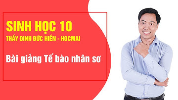 Bài giảng Tế bào nhân sơ - Sinh học 10|Thầy Đinh Đức Hiền -  Khóa Học Tốt 10