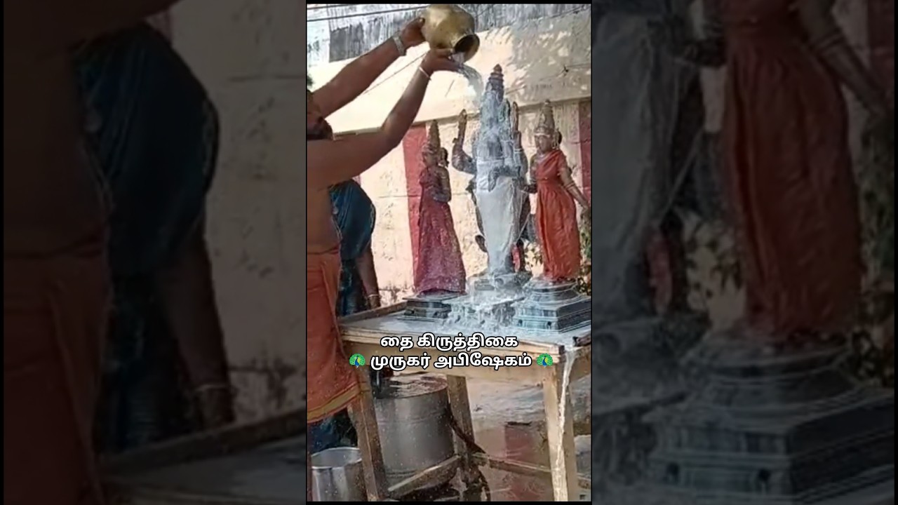 தை கிருத்திகை முருகர் அபிஷேகம் #trending #food #minivlog #couplevlog