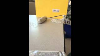 Claymation of Physics