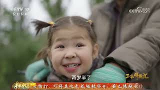 《三农群英汇》 20261016 沙湾棉田领路人 | 农业致富经 Agriculture And Farming