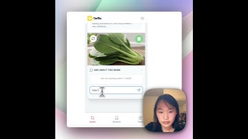 I built an AI-powered dictionary using Gemini 3