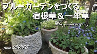 おぎはら植物園さんローズガーデンカネコさんで購入した花苗クレマチスの誘引猫