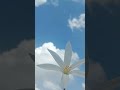 amazing sky
