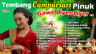 Tembang Campursari '' PINUK '' Gawe liyer liyer..