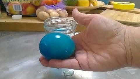 Osmosis across an egg