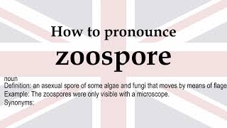 zoospore