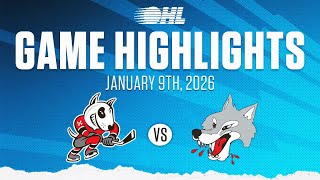 OHL Highlights: Niagara IceDogs @ Sudbury Wolves Jan. 9, 2026