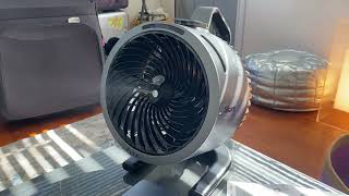 Download Lagu Playing with free Shark Fan MP3