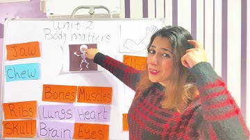 Connect Plus primary 3 unit 2 part 3 | كونكت بلس الصف الثالث الوحدة الثانية