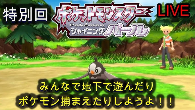 ダイパリメイク 夢特性ほしい アチャモ イーブイ ヒンバス メタモン リオルあります 初見歓迎 Youtube ダイパリメイク 夢特性ほしい アチャモ イーブイ ヒンバス メタモン リオルあります 初見歓迎 Youtube