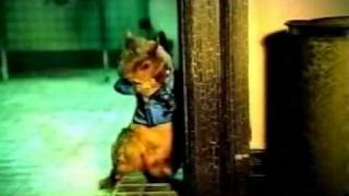 Conkers Bad Fur Day - long US Commercial