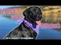 My dogs fishing adventure  e33 violet is my dog  violets adventures