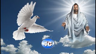 Wednesday Night Bible Study Hosea 4:7-12 - 11/12/25
