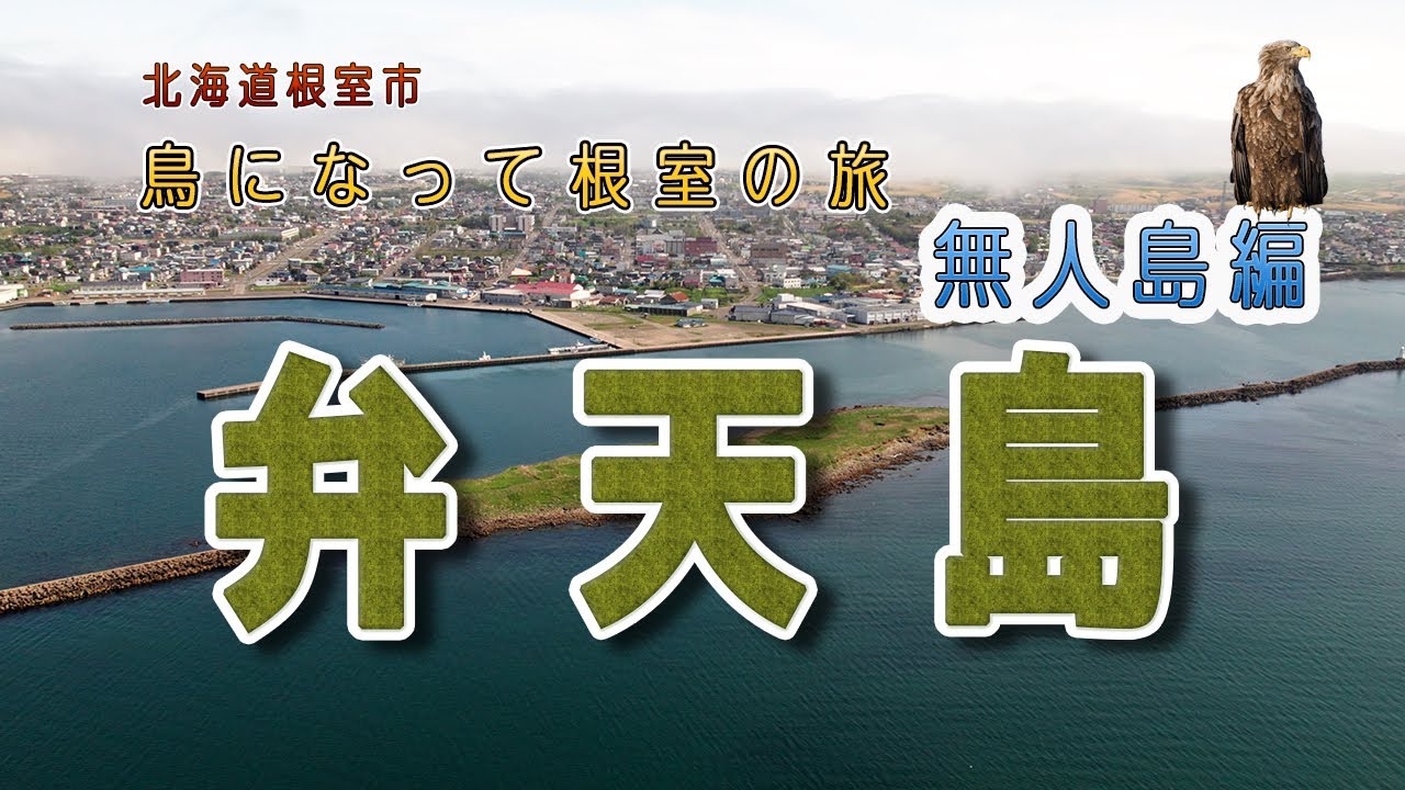 鳥になって根室の旅　無人島編(弁天島)