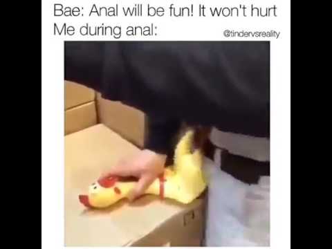 Anal sex will be fun
