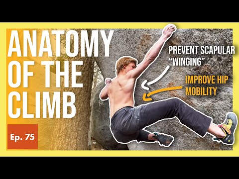 When Moonboard Training Pays Off Outdoors | Anatomy of the Climb