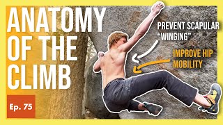 When Moonboard Training Pays Off Outdoors | Anatomy of the Climb